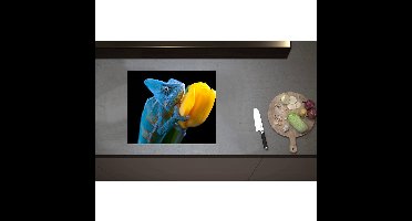 Inductieplaat Beschermer - Blauwe Kameleon op Gele Tulp tegen Zwarte Achtergrond - 60x50 cm - 2 mm Dik - Inductie Beschermer - Bescherming Inductiekookplaat - Kookplaat Beschermer van Wit Vinyl