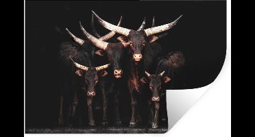 Muurstickers - Sticker Folie - Koe - Watussi - Zwart - Hoorns - 30x20 cm - Plakfolie - Muurstickers Kinderkamer - Zelfklevend Behang - Zelfklevend behangpapier - Stickerfolie