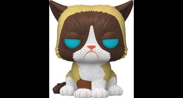Funko Grumpy Cat  (Flocked) - Funko Pop! - Icons Figuur  - 9cm