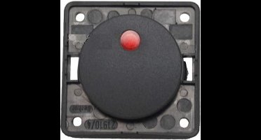 Berker Aan/Uitschakelaar Flow/Pure met Lampje Inbouw Antraciet Mat 12V