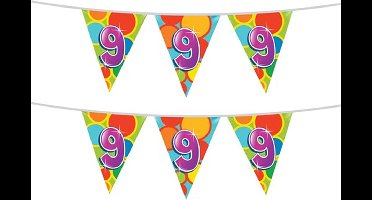 Haza Vlaggetjes 9 jaar - leeftijd verjaardag - 2x stuks - plastic 10m