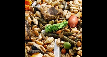 Garvo Knaagdiermix (5540) 2 KG