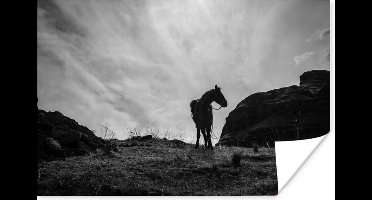 Poster Paard - Wolken - Weide - 30x20 cm