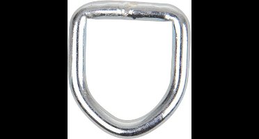ProPlus Verzinkte D-ring - Roestbestendig - 38 x 44 x Ø 6 mm - Eenvoudige installatie
