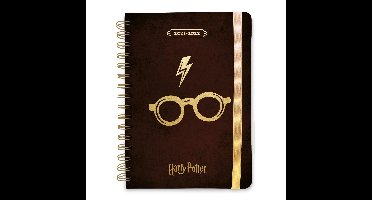 Harry Potter - Harry's Glasses 2021/2022 A5 Academisch Dagboek