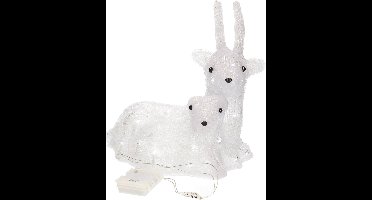 Lumineo Kerstverlichting rendier - buiten - 40 LEDs - helder wit - 34x25x34 cm - op batterijen