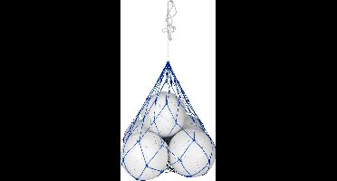 Ballennet voor 5 ballen - Kobalt/Wit