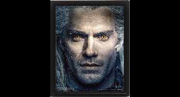 The Witcher Framed 3D Effect Poster 26 x 20 cm
