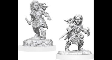 D&D Nolzur's Marvelous Miniatures Halfling Rogue Female 2