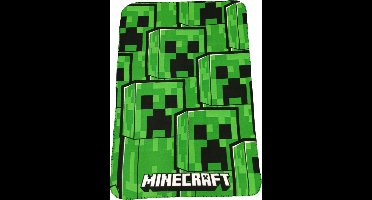 Minecraft Polar Fleecedeken - Luigi