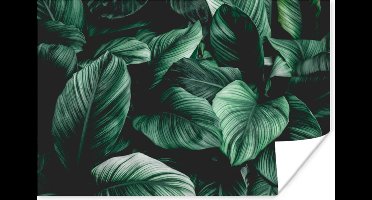 Poster Jungle - Bladeren - Tropisch - Planten - Natuur - 30x20 cm - Kerstversiering - Kerstdecoratie voor binnen - Kerstmis