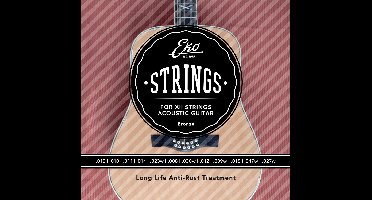 EKO ACB1047L-12 snaren set voor 12-snarige akoestische westerngitaar 010-047 (12 stuks)