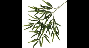 Terra Della - Terrariumplant - Reptielen - Hangende Plant Bamboe 65x35x4cm Groen - 1st