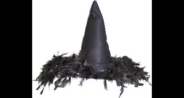 Heksenhoed zwart met veren