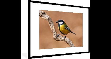 PosterMonkey - Poster - Fotolijst - Koolmees - Vogel - Takken - 80x60 cm - Poster natuur - Poster vogels - Foto in lijst - Poster frame