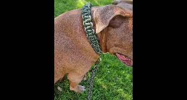 Stevige hondenriem, incl. halsband - Legergroen - Maat L - geschikt voor grote/zware honden - Nylon gevlochten