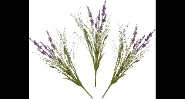 Everlands Kunstbloemen boeket lavendel - 5x stelen - kunststof - lila paars - 4 x 13 x H75 cm