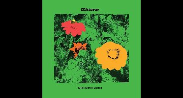 Glitterer - Life Is A Lesson (CD)