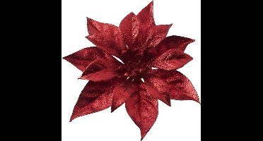 Cosy & Trendy Kerstboomversiering - bloem - op clip - rode kerstster - 18 cm