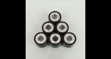 Galet rouleau de variateur origine pour Scooter Piaggio 125 Beverly 2000 à 2017 19x17 9Grs / CM1038035 Neuf