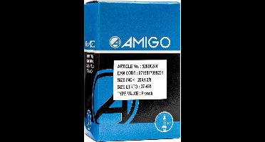 AMIGO Binnenband - 20 inch - ETRTO 37-451 - Frans ventiel