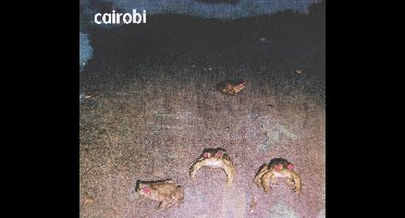 Cairobi