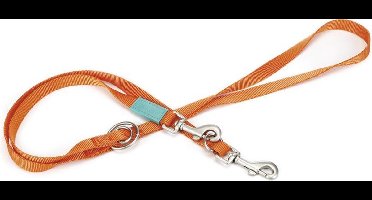 Beeztees Uni - Hondenriem - Oranje - 200 cm x 20 mm