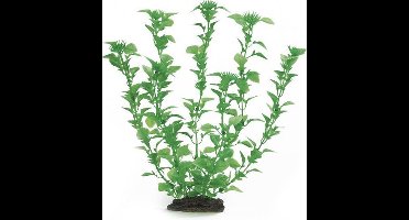 Plastic aquaplant 2571.