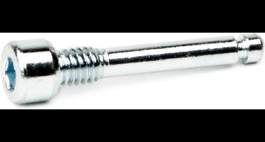 Elvedes Fixeerbout 2017181 M4 X 22 Mm Zilver Per 10 Stuks
