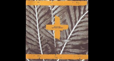 Chari Chari - Spring To Summer