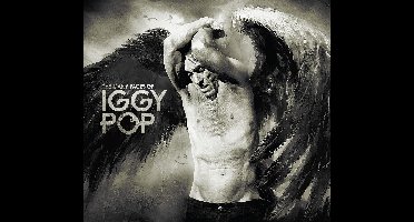 Many Faces Of Iggy Pop