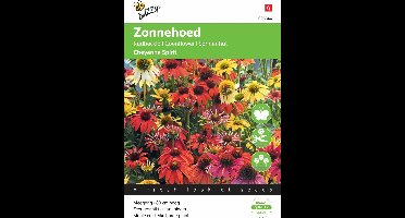 Buzzy® Echinacea purpure Cheyenne Spirit (1m²)