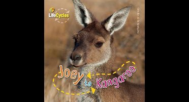 Joey to Kangaroo