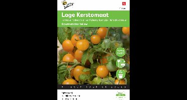 Buzzy® - Kerstomaat Gourmandise