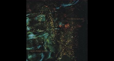 I'm a Fool to Love You