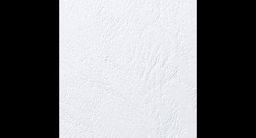 GBC schutbladen / dekbladen leerstructuur, DIN A5, 250 g/m2, wit