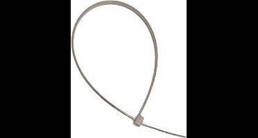 Vwp Kabelbinders Lang 3.6mm X 250mm Zilver Per 100 Stuks