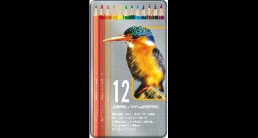 VOGEL BLIK 12 KLEURPOTLODEN