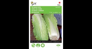 Buzzy Zaden - Chinese Kool Zelfsluitende Granaat - Brassica pekinensis