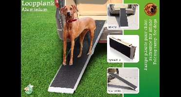 Boon Loopplank Aluminium Antislip - 183 cm - Max 100 kg