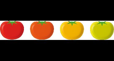 Zak!Designs Kitchen & Garden Tomaat Serveerplateau - Melamine - 20 x 16 cm - Oranje