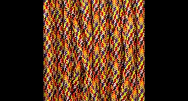 Paracord 550 Showbizz - Type 3 - rol van 100 meter #66