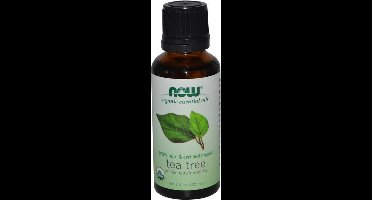 Biologische essentiële olie - Tea Tree (30 ml) - Now Foods