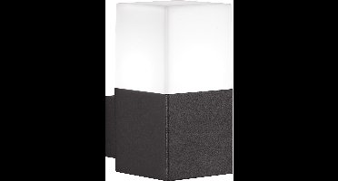 TRIO HUDSON - Wandlamp - Antraciet - incl. 1x E14 3,5W - Buitenverlichting - IP44
