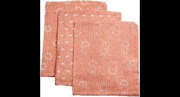 Nijntje Washandje Hydrofiel 17 x 20 - Smile - Coral Pink - 3 Stuks