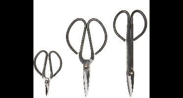 Kikkerland - Schaar Set Voor Tuin - Bonsai schaar - Borduurschaar - Set van drie - Moederdag cadeau