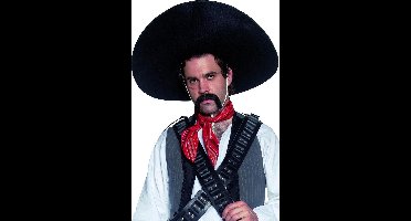 "Mexicaanse sombrero voor volwassenen - Verkleedhoofddeksel - One size"