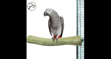 Back Zoo Nature Single Perch Large