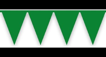 Vlaggenlijn donkergroen (10m)