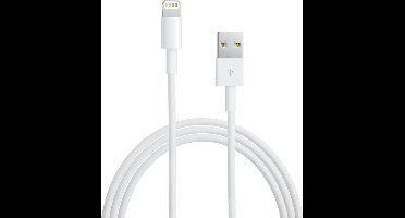 Ewent 1m, USB2.0-A - Lightning